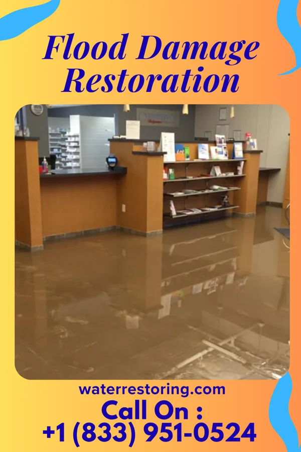 Flood Damage Restoration in Shell Rock, IA