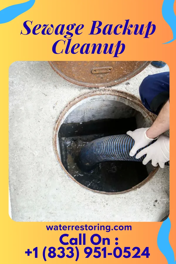 Sewage Backup Cleanup in Shell Rock, IA