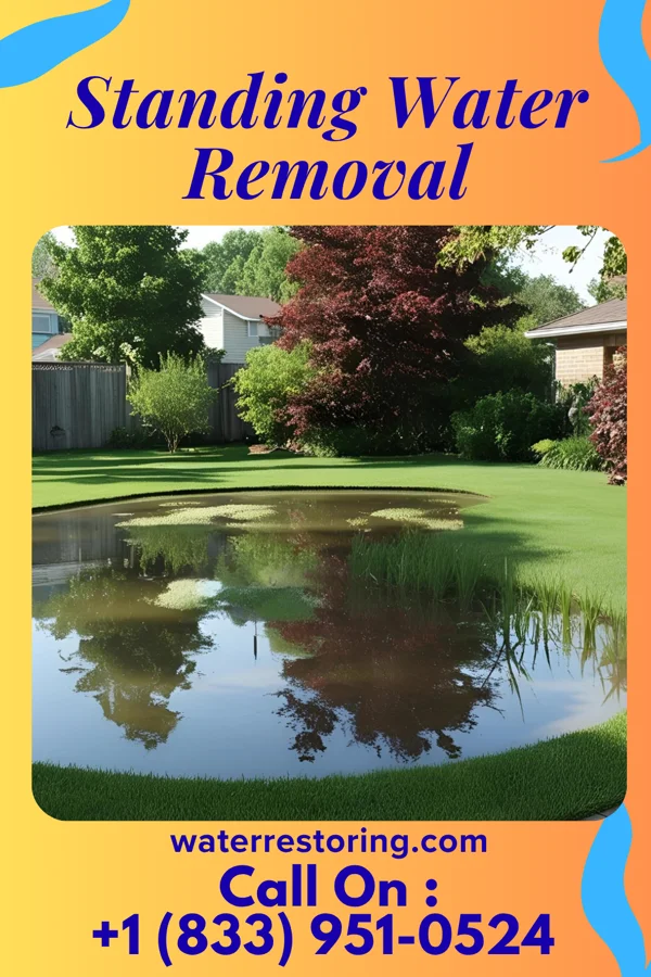 Standing Water Removal in Shell Rock, IA